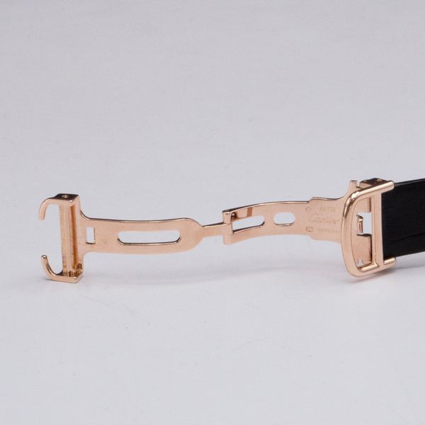 Cartier Santos Dumont W2009251